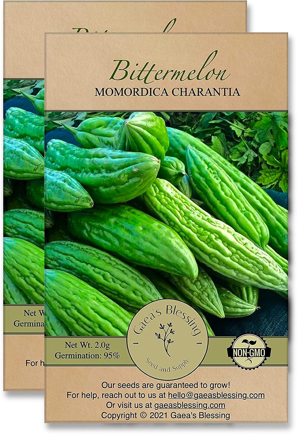 Gaea's Blessing Seeds - Bitter Melon Seeds - Bitter Gourd Heirloom Non-GMO Bittermelon Seeds with Easy to Follow Planting Instructions - 92% Germination Rate (Pack of 2)
