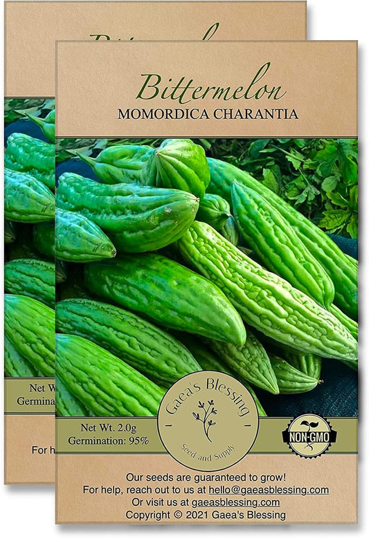 Gaea's Blessing Seeds - Bitter Melon Seeds - Bitter Gourd Heirloom Non-GMO Bittermelon Seeds with Easy to Follow Planting Instructions - 92% Germination Rate (Pack of 2)