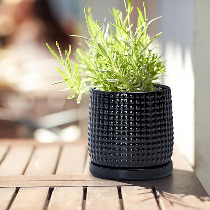 D'vine Dev 4 Inch Ceramic Beaded Stoneware Planter Pot - Flower Pot with Drainage Holes and Saucers for Indoor Succulent Plants or Flowers, Glossy Black, 27-C-Z-2