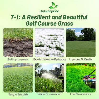 Outsidepride T-1 Creeping Bentgrass Seed - 1 lbs Fine-Bladed, Premium Quality Turf, Grass Seed for Smooth Surface, & High-Traffic Areas, Ideal Grass for Golf Courses Putting Greens, & Fairways