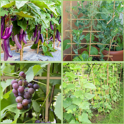 Plant Stakes,3FT Longer Sturdy Natural Bamboo Garden Stakes,GAGINANG 25Pcs Bamboo Sticks Trellis Support for Tomato, Vegetables Beans Trees Climbing Plants