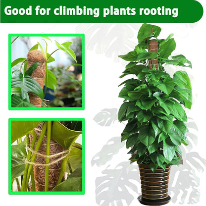 Moss Pole, 2Pack 21 Inch Plant Support Stakes for Indoor Plants, Monstera Plant Support Stakes, 37 Inch Tall Coir Plant Pole Sticks for Potted Plants, Pothos, Philodendron