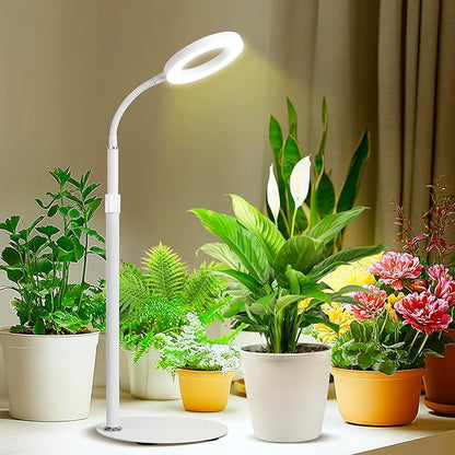 Desk Top Grow Lights for Indoor Plants,Full Spectrum Table Plant Light,24.2" Telescope Stand,UV LED Red Blue Halo Growing Lamp,Adjustable Gooseneck,Auto Timer,3 Lighting Modes,10-Level Dimmable