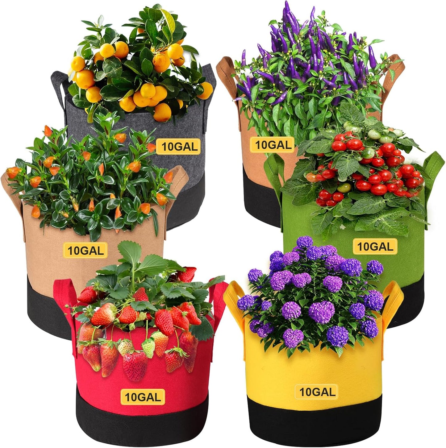 Grow Bags 10 Gallon,6 Pack Fabric Plant Pots with Handles Planter Bag for Outdoor Garden Planting Vegetables Flowers Fruit