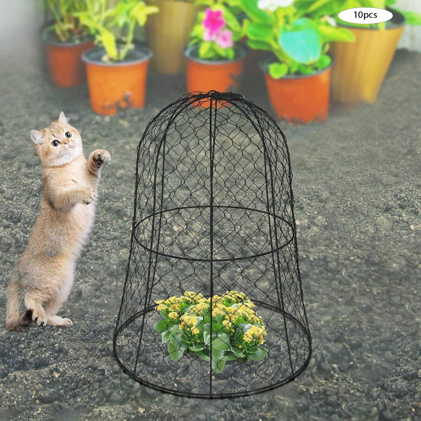 10 PCS Garden Chicken Wire Cloche,13" Diameter x 15.7" Height Large Plant Protector Cover with 40 U-Shaped Ground Nails,Sturdy Metal Cage for Keep Animals Out Garden (Black)