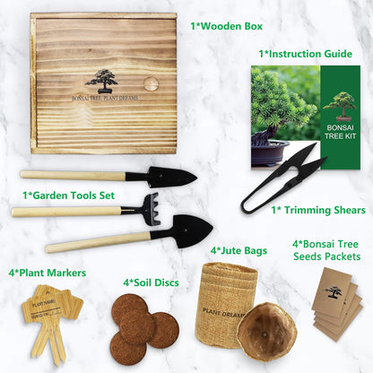 Bonsai Tree Starter Kit for Beginners - Indoor Live Plant Gardening Adult Craft Kits - Unique Christmas, Birthday, White Elephant Gifts for Women, Men & Kids