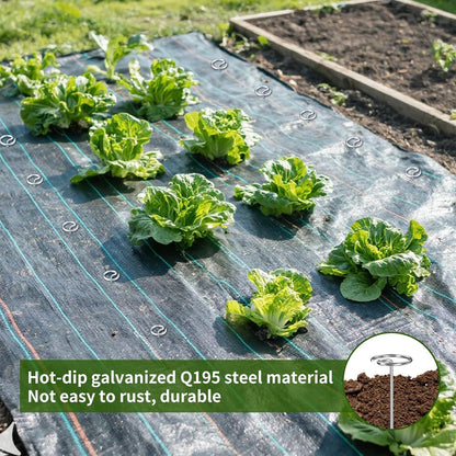 60 Pcs 6 Inch Landscape Fabric Staples, Tensile Strength 450-500Mpa -Non-Bending Garden Stakes Pins, Landscape Staples for Landscaping and Securing Lawn Fabric Weed Barriers (G-60)