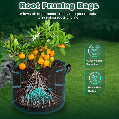 5 Pack 5 Gallon Grow Bags, Thickened Aeration Nonwoven Fabric Plant Pots with Handles, Heavy Duty 300G Garden Planting Bag for Tomato, Potato, Strawberry, Vegetable, Fruits and Flowers