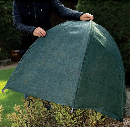 NuVue Products 22253 Winter Snow and Ice Covers for Plants, Shrubs, and Small Trees, Winter Shrub Covers for Snow and Freeze Protection, Pack of 2, Green, 36" x 36" x 38"