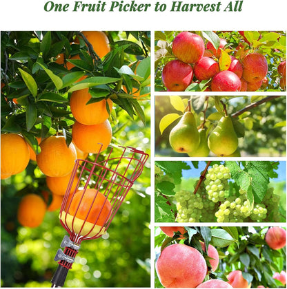 8FT Fruit Picker with Large Basket Telescoping Fruit Picker Pole Foam Padding Prevents Bruising Suitable for Apples Mangoes Pears Oranges Avocados, Red (Pole Included)