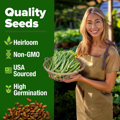 HOME GROWN Contender Bush Seeds - 56 𝗡𝗢𝗡-𝗚𝗠𝗢 𝗨𝗦𝗔-𝗦𝗢𝗨𝗥𝗖𝗘𝗗, Heirloom Green Beans for Planting - Emergency Food Supply (Phaseolus vulgaris)