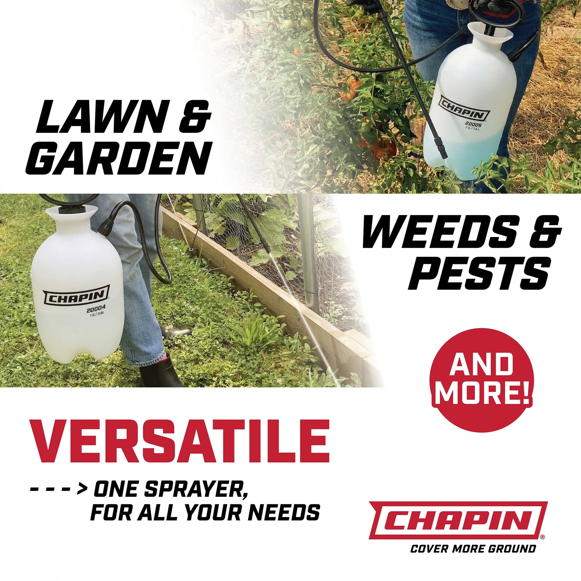 Chapin 1-Gallon Pump Sprayer, Easy Use for Home & Garden, 2pk
