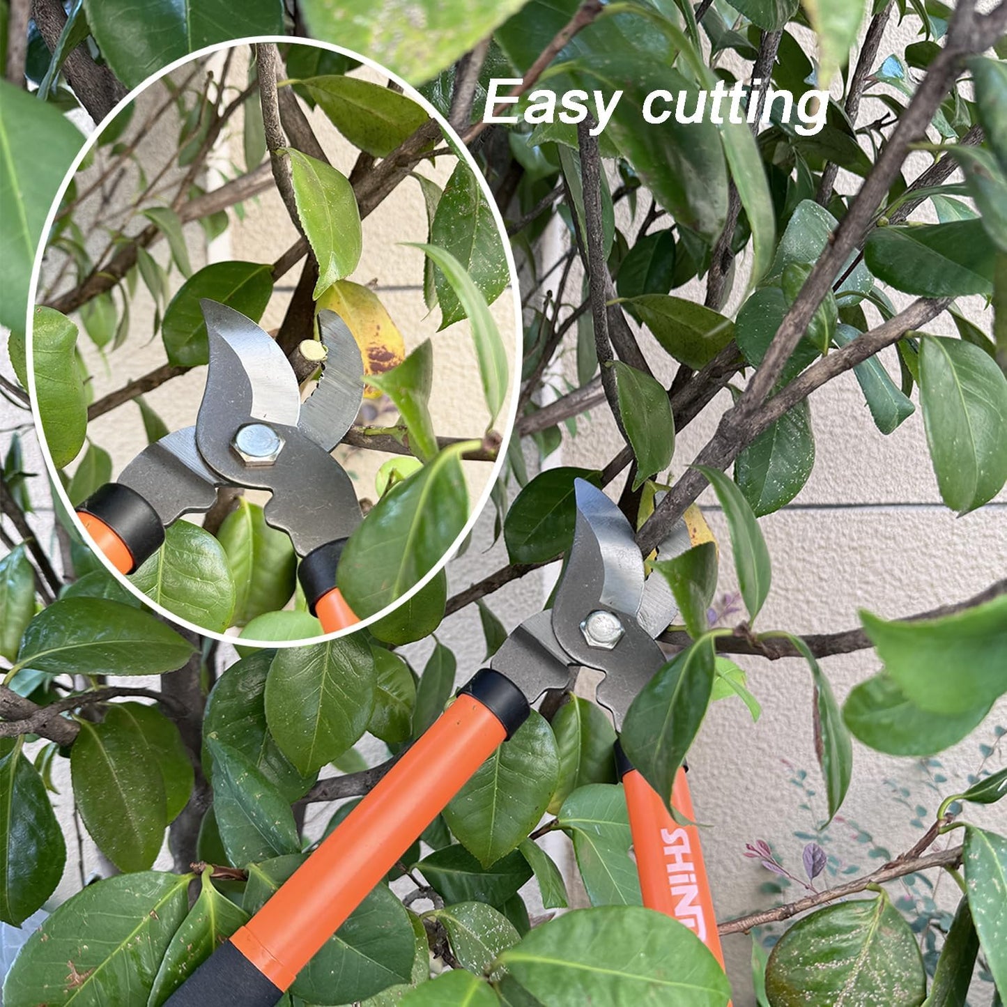 SHIND Lopper Heavy Duty Branch Cutter Tree Clippers with Compound Action, Chops Thick Branch Ease, Garden Loppers Pruning, 15 Inch Tree Trimmer with 1.6” Clean Cut Capacity (15 Inch）