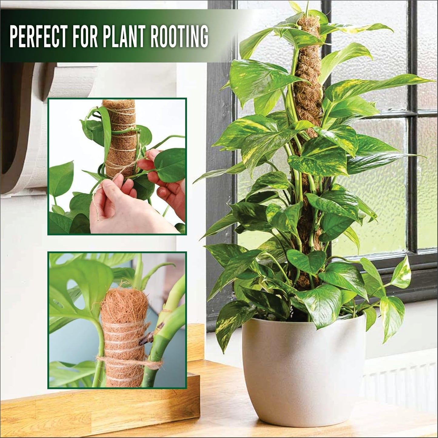 Moss Pole Pack of 4 – 50CM Monstera Plant Support | Natural Coco Coir Plant Poles for Indoor Plants | Extendable Moss Sticks for Climbing Plants, Pothos & Philodendron