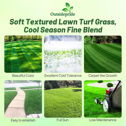 Outsidepride Midnight Kentucky Bluegrass Seed - 10 Lbs. Cold & Drought Tolerant, Sun-Loving Lawn Grass Seed, w/High Traffic Tolerance & Deep Root System, OptiGrowth Coated for Better Establishment