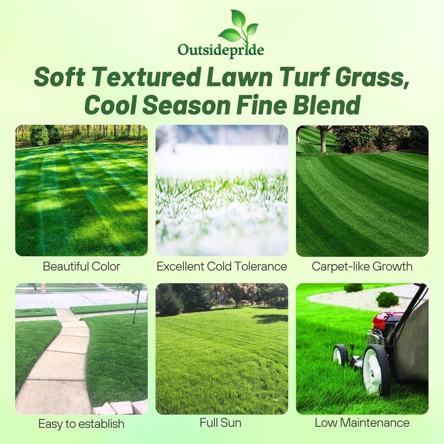 Outsidepride Midnight Kentucky Bluegrass Seed - 50 Lbs. Cold & Drought Tolerant, Sun-Loving Lawn Grass Seed, w/High Traffic Tolerance & Deep Root System, OptiGrowth Coated for Better Establishment