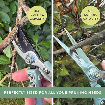 Modern Sprout Hand Pruners & Shears Set - Lightweight Gardening Tools W/Easy Lock - Sharp Carbon Steel Blades -Rust Resistant Scissors for Herbs, Flowers - Reusable Holster - Lavender