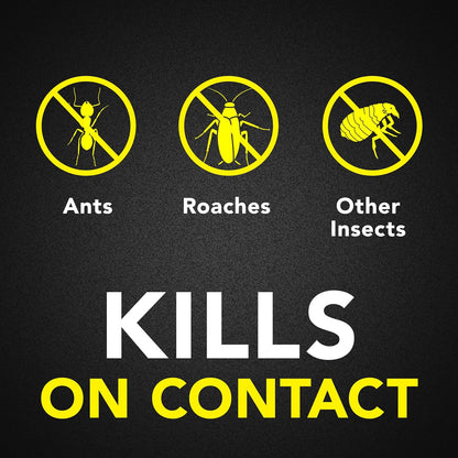 Raid Ant & Roach Killer Spray for Listed Bugs, Keeps Killing for Weeks, Lavender Scent, 17.5 oz
