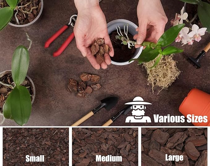 Orchid Bark for Plants, Organic Pine Bark for Proper Root Development for Phalaenopsis, Cattleyas, Dendrobiums, Oncidiums, Paphiopedilums and More(10qt, Large(18-35mm))
