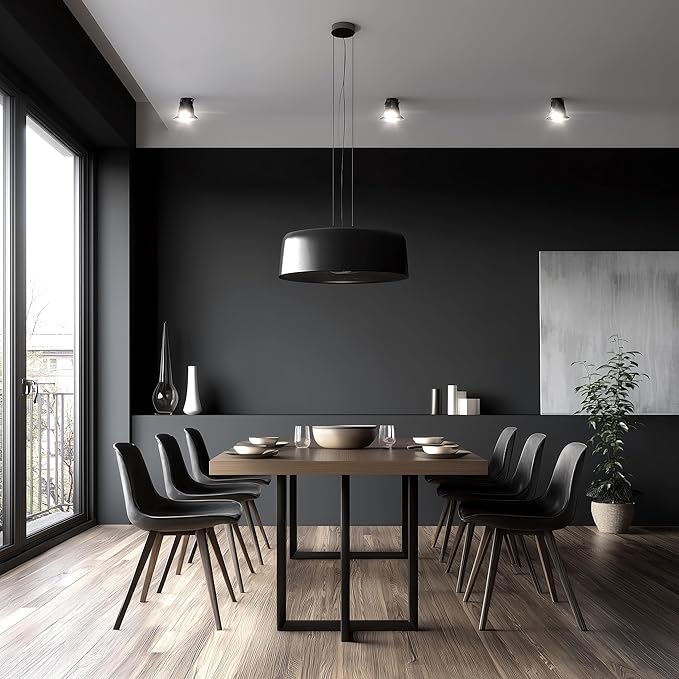 EVOLVE Paint & Primer: Environment-friendly, Low Sheen with One-coat Coverage for Interior & Exterior surfaces (Black Iron, 1-Gallon)