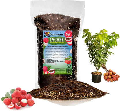 GARDENERA Premium Lychee Potting Soil Mix - Perfect Balance of Nutrients, Drainage, and Aeration for Thriving Lychee Trees - 3 Quart