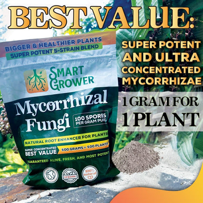 Mycorrhizal Fungi Organic Root Enhancer for Plants, Super Potent 100 Spores Per Gram, 5-Strain Blend, Rapid Results for Gardens, Houseplants, Lawns, Mycorrhizae Smart Grower 250 Grams for 250 Plants