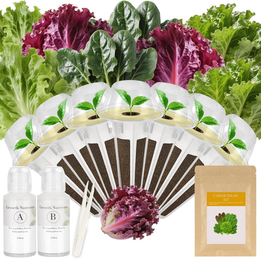 Caesar Salad Seed Pod Kit for AeroGarden, idoo, Ahopegarden, MUFGA with Green Romaine Lettuce, Red
