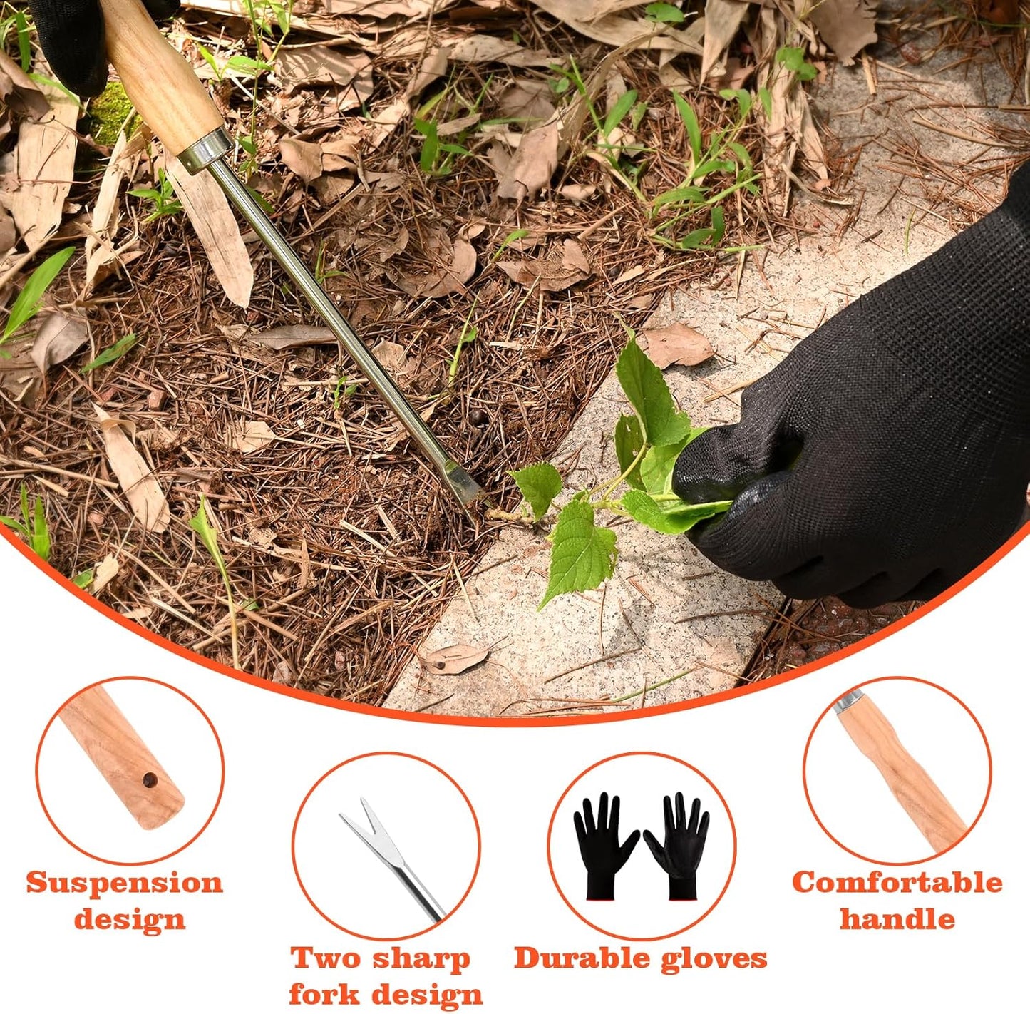 Wooden Handle Dandelion Weeder Tool - Polished Stainless Steel Dual - Forked Head Dandelion Weeder Puller Tool for Planting, Weeding, Flower & Vegetable Care with Nylon Nitrile Coated Gloves