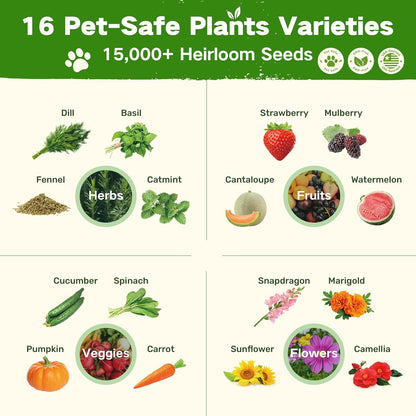 Lush&Dew Pet-Friendly Heirloom Seed Bank, Gardening Gifts for Women Men, 16 Varieties 15,000+ Non-GMO Seeds for Planting Herbs Flowers Vegetables in Raised Bed Windowsill, Annuals & Perennials