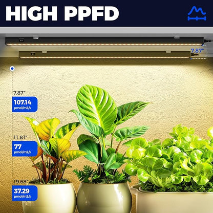 Barrina T5 Grow Lights for Indoor Plants, 2FT 20W (2 x 10W), Black Cover Plant Growing Lamp with Magnetic Installation, Full Spectrum Grow Light Strip with Separate Switch, Linkable, Yellow, 2 Packs