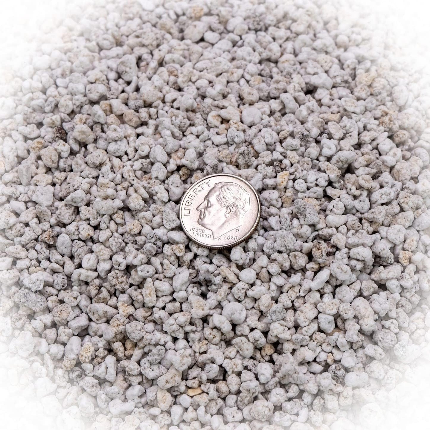 GARDENERA Premium Organic Perlite - Medium Grade - Horticultural Soil Amendment for Indoor & Outdoor Container Plants for Drainage Management and Enhanced Growth - 3 Quart