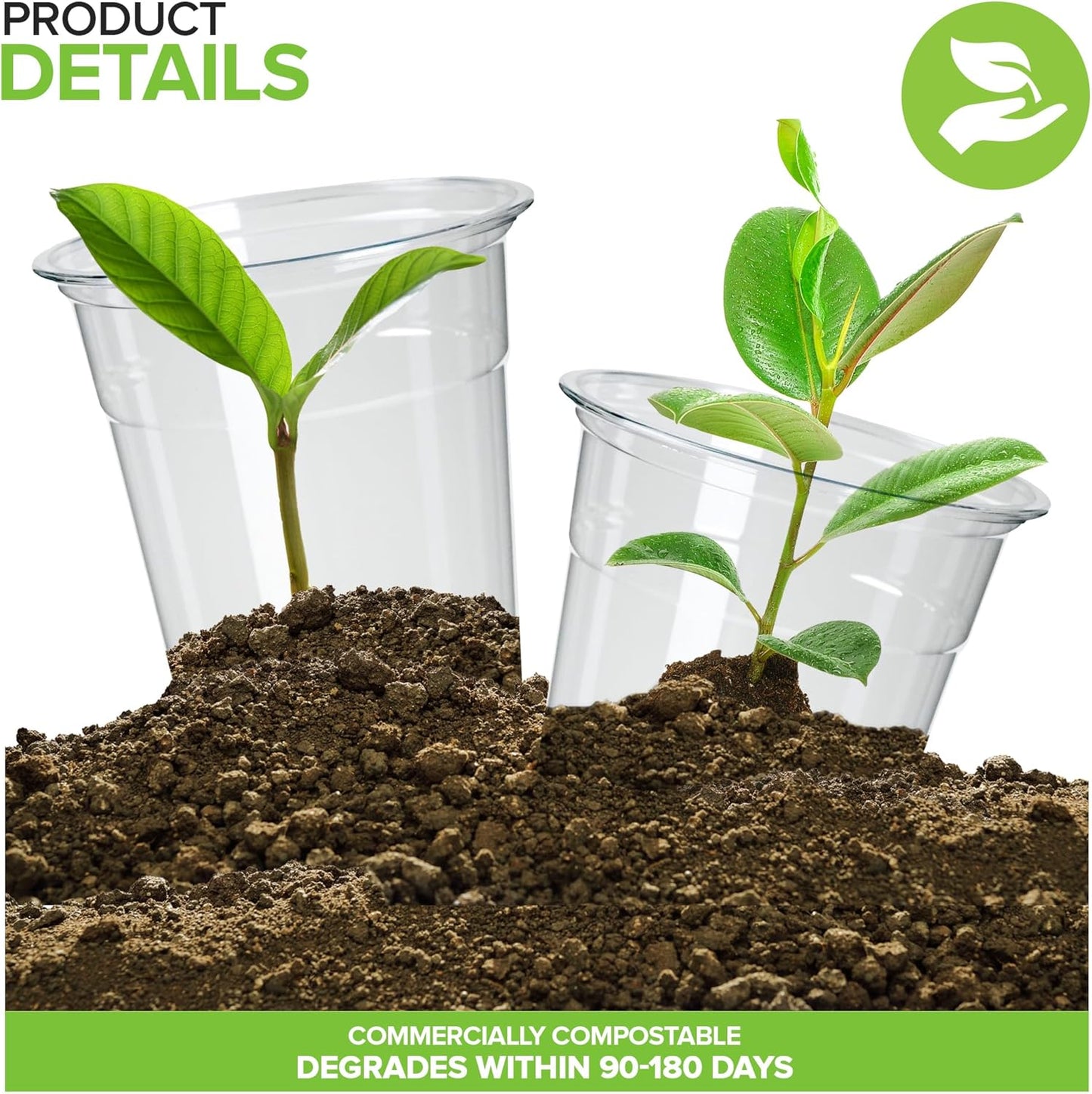 Stock Your Home 16 oz Premium Commercially Compostable Cold Cups (50 Pack), Eco Party Cup, Environmentally Friendly Disposable Sustainable for Water, Wine, Beer Sample