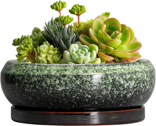 Succulent Pots 6 Inch - Ceramic Bonsai Pots with Drainage Hole and Saucer, Succulent Planters for Indoor Outdoor, Small Shallow Planter, Round Cactus Pot, Room Decor, Plant Lover Gift, Green