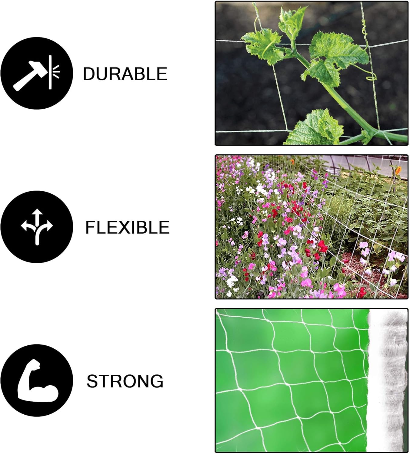 COMMON CULTURE Grow Strong Soft Mesh Nylon Trellis Netting Bulk Rolls - 5 x 225 ft Heavy-Duty Garden Netting for Plants - (Pack of 2 Rolls) + Common Culture Trimming Scissors