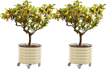 Rolling Metal Citrus Tree Planter, Self-Watering Round Planter Box for Porch Patio & Backyard, Raised Garden Bed with Wheels for Growing Trees Tomatoes Vegetables and Flowers, Twin Pack-Pearl White