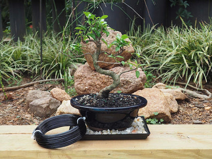 Bronze-1.0mm/18gauge -Anodized Aluminum Bonsai Training Wire 250g Large Roll,Many Size to Choose,KSVZS Bendable Metal Wire for Crafts,Sculpting,Armature and Daily Use,Necessities for Family