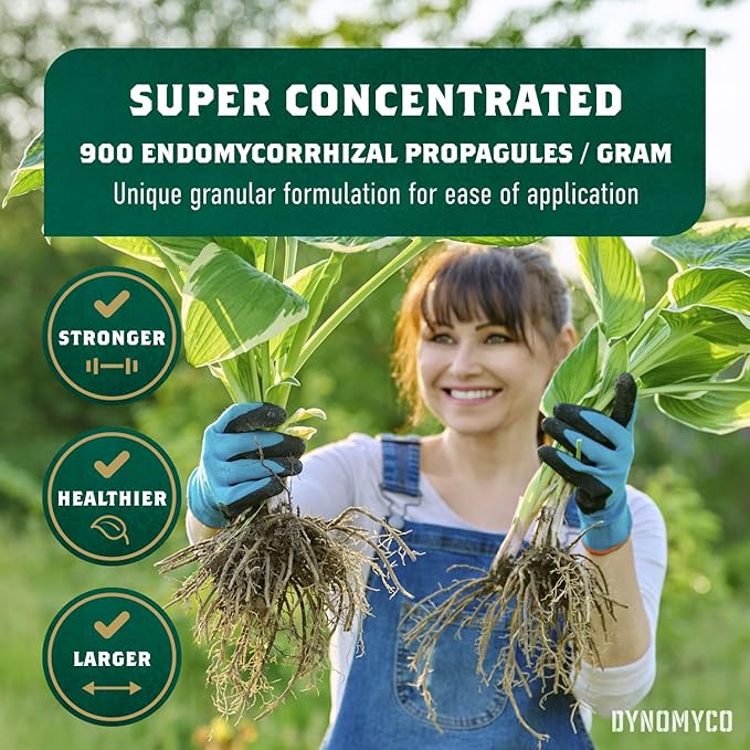 DYNOMYCO Mycorrhizal Inoculant - Plant Growth & Root Treatment, Concentrated Mycorrhiza Formula, Boosts Nutrient Uptake, Mycorrhizae Plant Food for Resilience & Fertilizer (200g / 7oz)