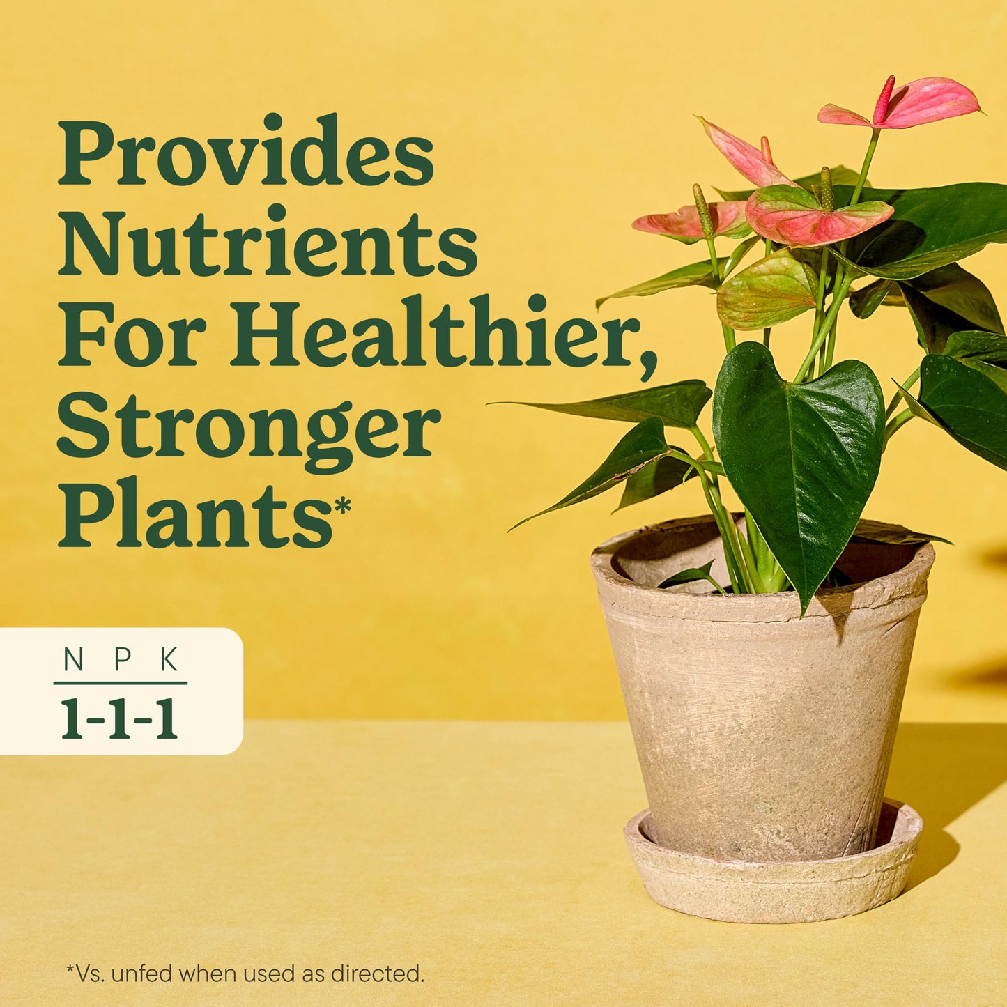 Miracle-Gro Indoor Plant Food for All Plants, 8 fl. oz. (2-Pack)
