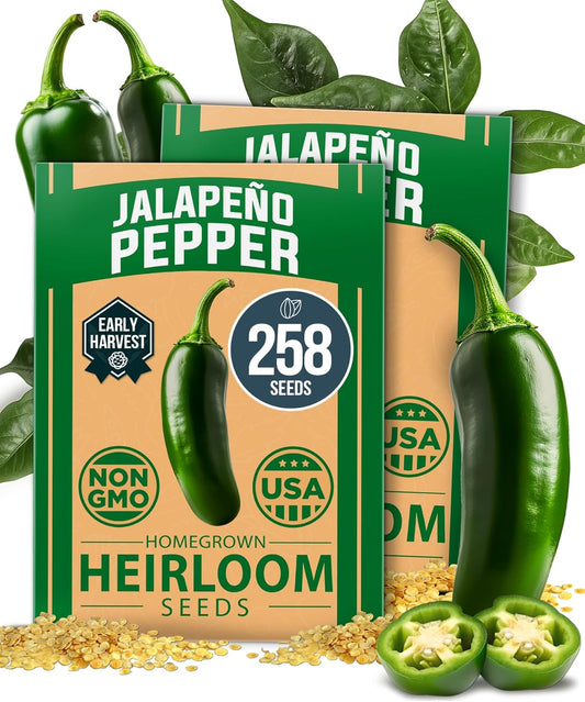 HOME GROWN Jalapeno Pepper Seeds – 258 𝗡𝗢𝗡-𝗚𝗠𝗢 𝗨𝗦𝗔 Heirloom Seeds (Capsicum annuum) – High Germination, Easy to Grow, Early Harvest Hot Peppers