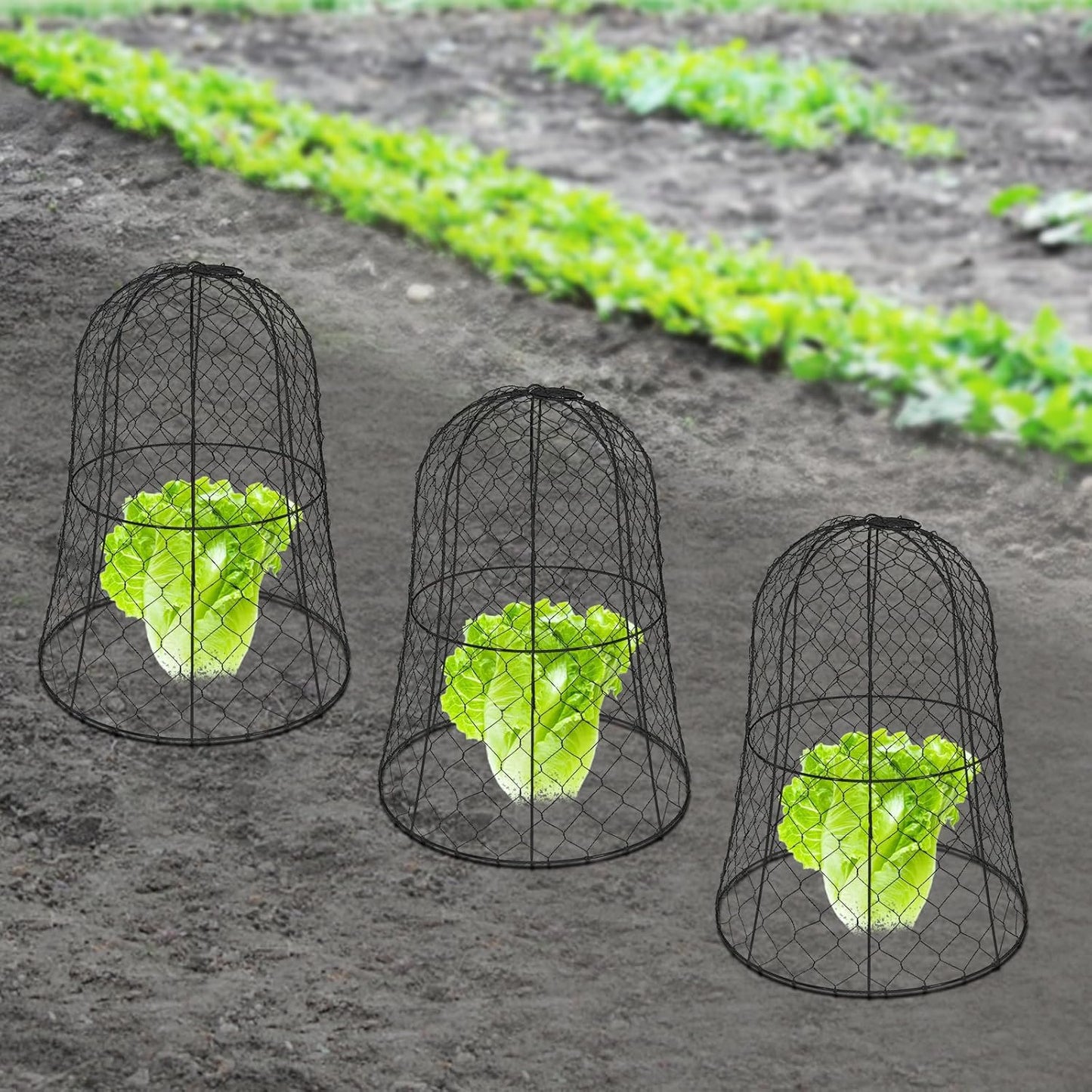 10 PCS Garden Chicken Wire Cloche,13" Diameter x 15.7" Height Large Plant Protector Cover with 40 U-Shaped Ground Nails,Sturdy Metal Cage for Keep Animals Out Garden (Black)