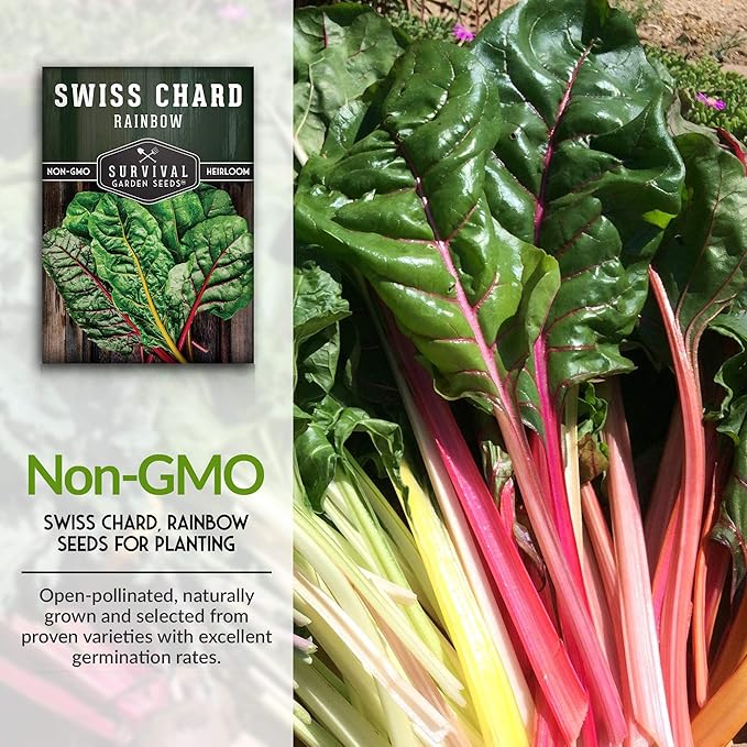 Survival Garden Seeds - Rainbow Swiss Chard Seed for Planting - 5 Packs with Instructions to Plant and Grow Colorful Stalked Vegetable Greens in Your Home Vegetable Garden - Non-GMO Heirloom Variety