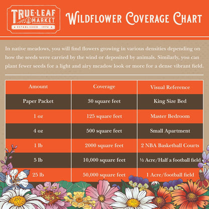 Wildflower Seeds Bulk, Southwestern Wildflower Seed Mix, 1 Lb 640,000+ Seeds, Annual & Perennial Flower, with Southwest Native Wildflowers, Flower Seed Bulk, Desert Wildflowers Mix