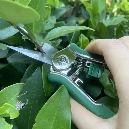 FLORA GUARD 6.5-Inch Floral Scissors, Zinc Alloy with Rubber Handle, Toothed Blade for Quick Cutting, Suitable for Flower Placement, Plant Pruning, Rose or Fruit Picking (Green)