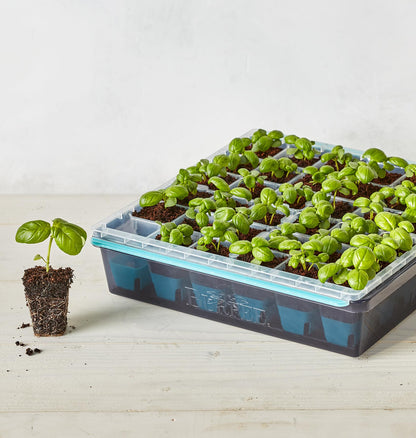 Burpee SuperSeed 36-Cell Reusable Seed Starting Tray for Indoor Seedlings