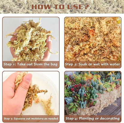 ZeeDix 4QT Natural Orchid Moss Sphagnum for Potting Mix, 3OZ Sphagnum Moss for Moss Pole Repotting Carnivorous Succulent Gardening Plants Reptiles, Dried Long Fibered Sphagnum Moss for Plants Indoor