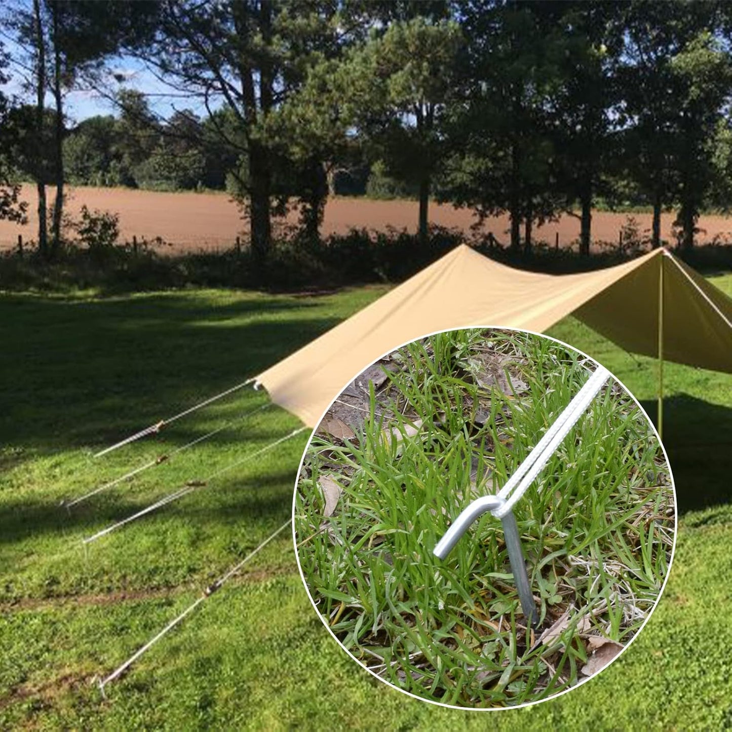 AAGUT Tent Stakes, Tent Stake Metal Garden Edging Fence Hooks Yard Camping Stake Heavy Duty Galvanized 9 Inch (9 Inch Tent Stakes KIT, 25)