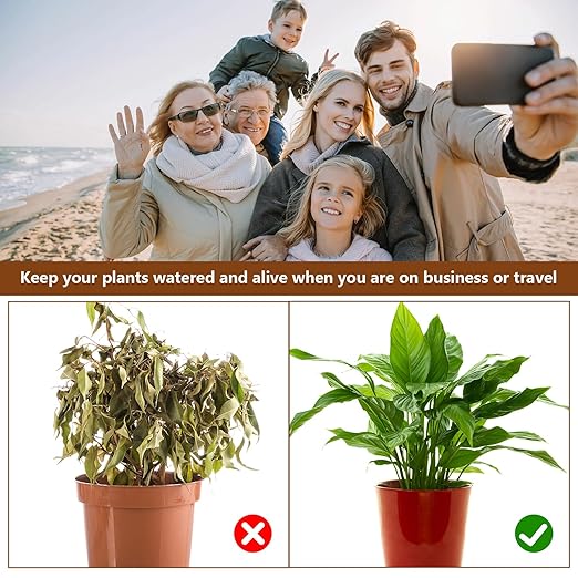 2Pcs Self-Watering Wick System, Stainless Steel Plant Automatic Watering Device with Self Watering Capillary Wick Cord, Passive Lazy Automatic Drip Irrigation for House Plants (M)