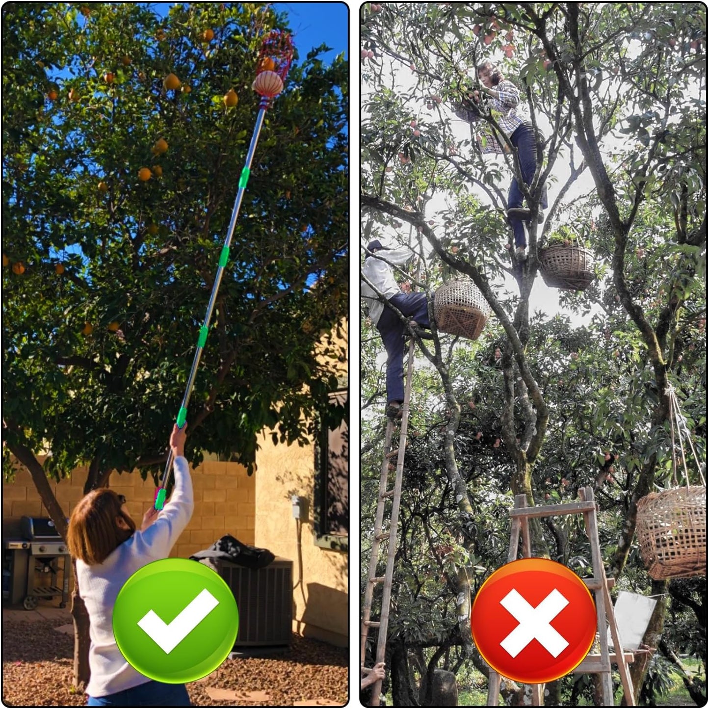 2 PCS Adjustable Fruit Picker Tool, 5.3 Feet Fruit Picker with Telescoping Basket & Pole, Ideal for Orange Picking, Cherry Picking & More