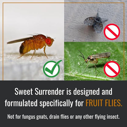 Dr. Killigan's Reusable Fruit Fly Traps for Indoors - Washable with 2 Refills, 80+ Day Supply, Highly Effective for Home and Kitchen