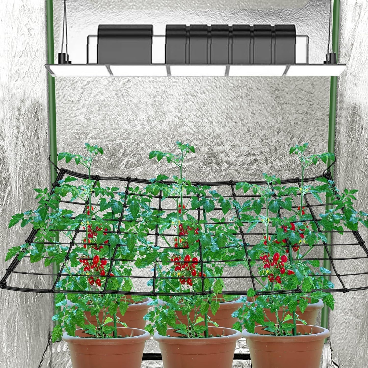Scrog Net 2x2 Trellis Net for Grow Tent, Elastic Heavy Duty Trellis Netting with Hooks for Indoor Plant Growing Tents, Hydroponics, Trellis for Climbing Plants Outdoor